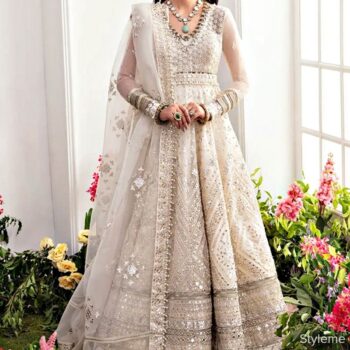 Elegant Organza Maxi Unstitched Dress