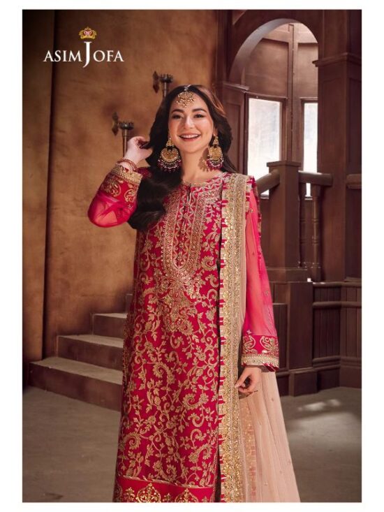 Presenting You A Chiffon Fancy Article