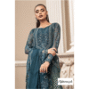 Heavy Embroidered Chiffon Demanded Article