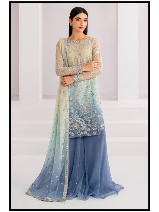 Chiffon Heavy Sequence Article