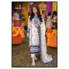 Presenting Heavy Chiffon Article